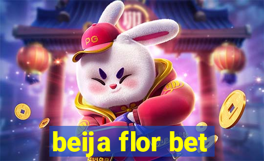 beija flor bet
